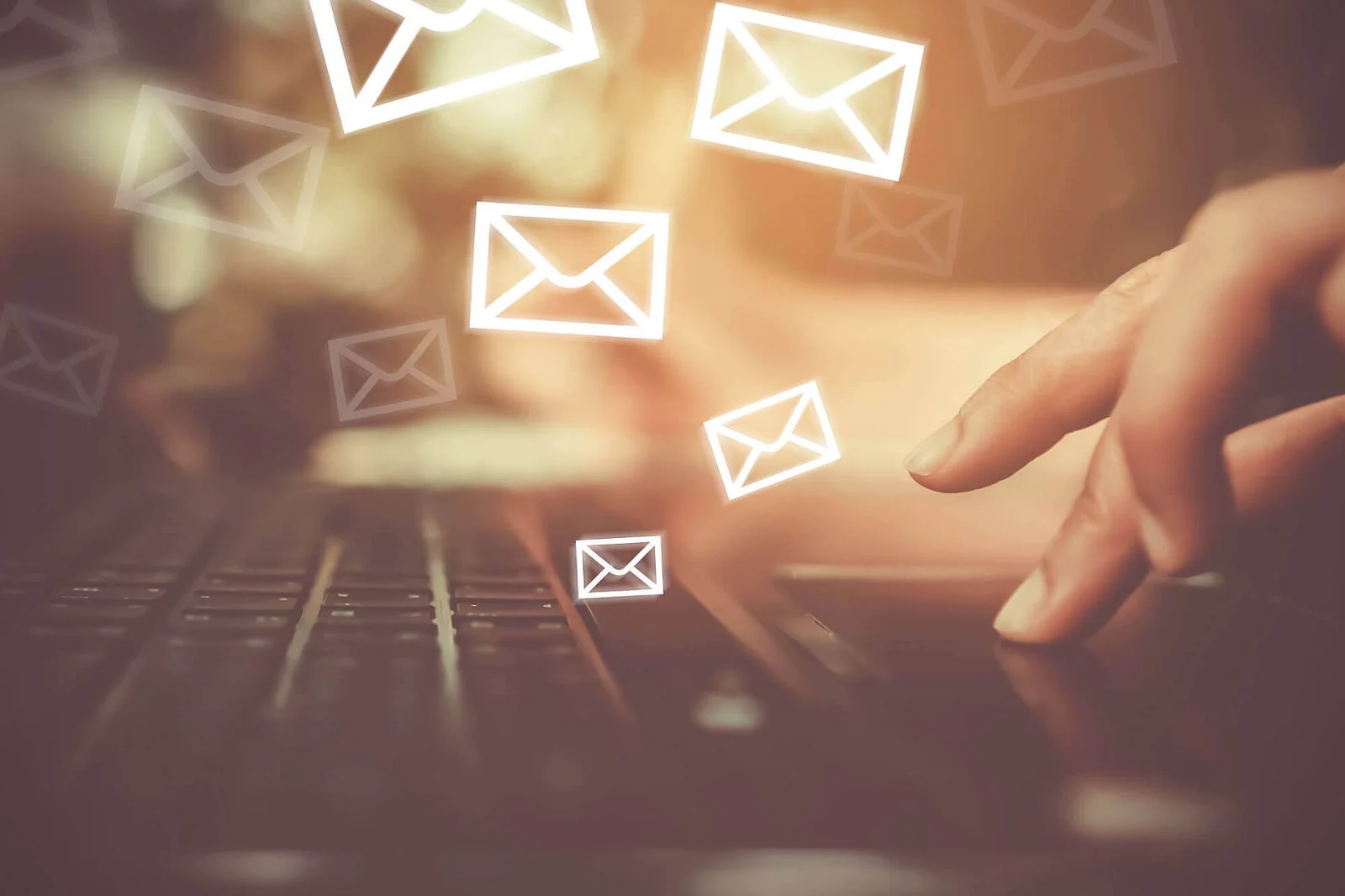 profipresent Newsletter